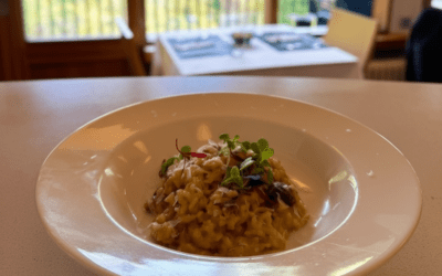 Cocina de noviembre