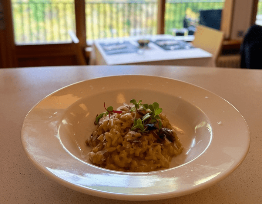 Cocina de noviembre